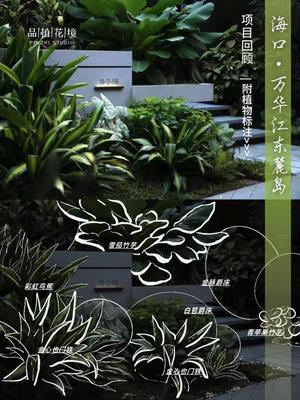 项目回顾vol.1| 海南&middot;万华&middot;江东麓岛  此系列回顾我们为海南&middot;万华&middot;江东麓岛打造的极具热带风情的花境项目。 首先是为别墅区打造的长效入户花境&darr;&darr;&darr; 🌱层次丰富：以匍匐的【蕨类】为前景；其中景高度
