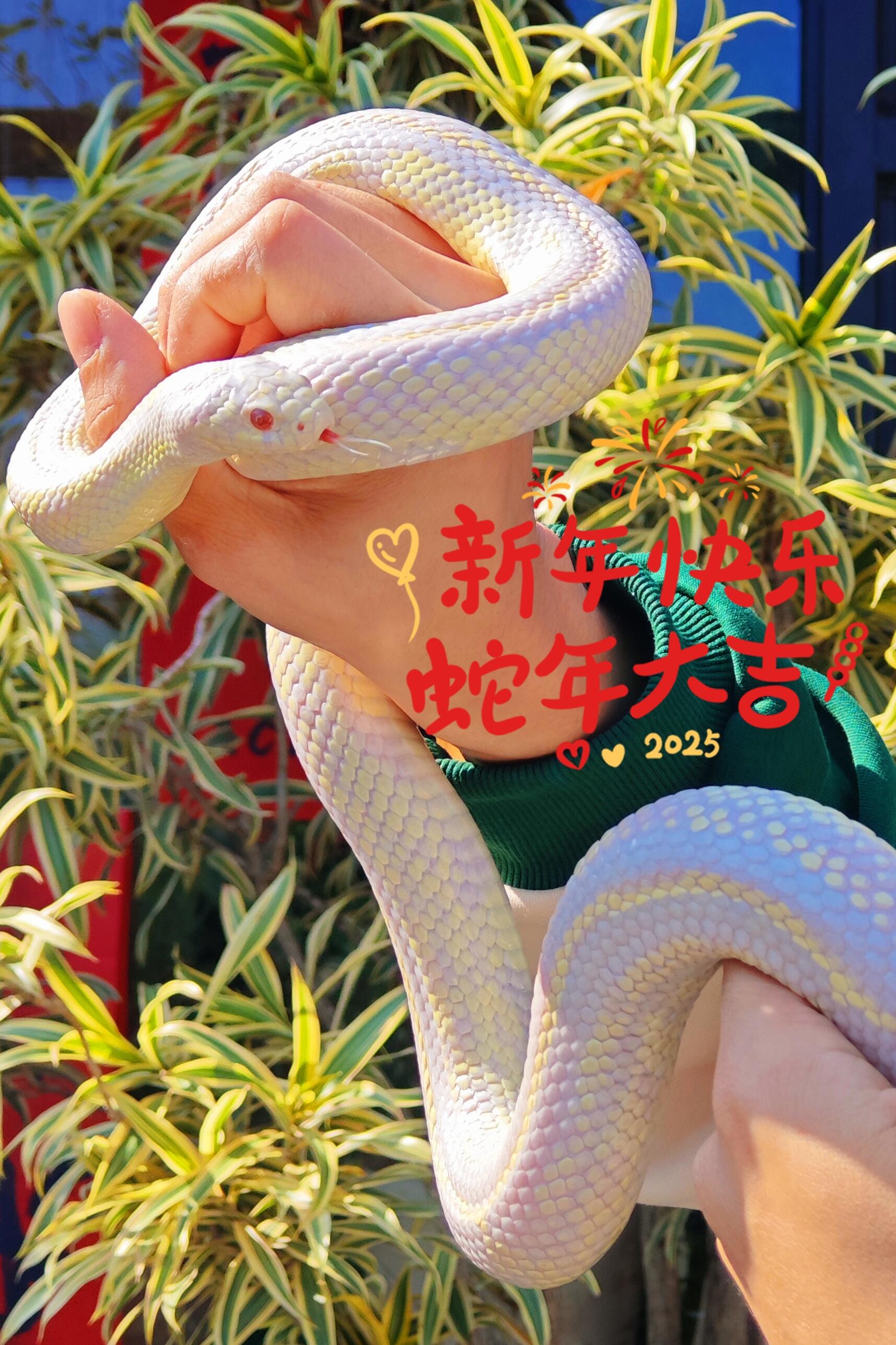 http://static.ixuenong.com/pxn/uploads/prod/thirdfile/2025/02/3d467803a783c68992d47c75f25e9017.jpg