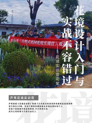 花境线下实战准备好了吗？下一季即将来袭！！！ 您想参加哪个城市的花境培训？
#花境实训营 #花境设计施工一体化 #花境设计 #花境 #芦苇花境实训营