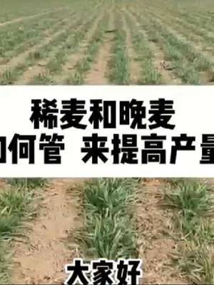 #传播农业小知识 #分享农业知识帮农民增产增收 #抖音助农 #农业人话农业