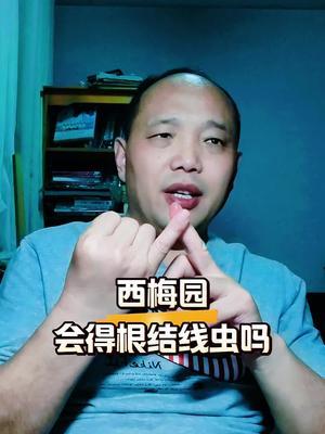 西梅园会得根结线虫吗#西梅种植#农田行者#根结线虫#农田行者技术服务联盟