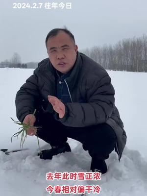如果比较，今年偏重。 壮麦无碍，旺麦加重！