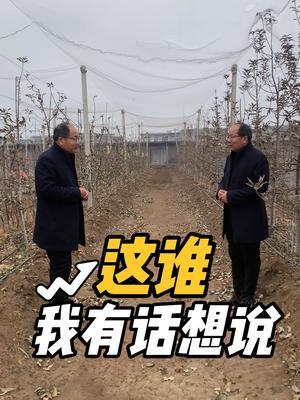 学习 学习剪辑了#过年 #过年氛围提前搞起来了 #果园管理