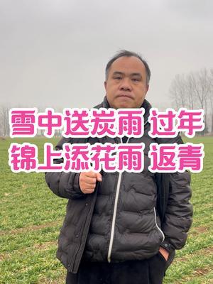 雪中送炭雨 过年 锦上添花雨 返青 愿年前年后两场雨，助力小麦&ldquo;立春天晴，百事皆成&rdquo;。#三农种植 #农业种植技术