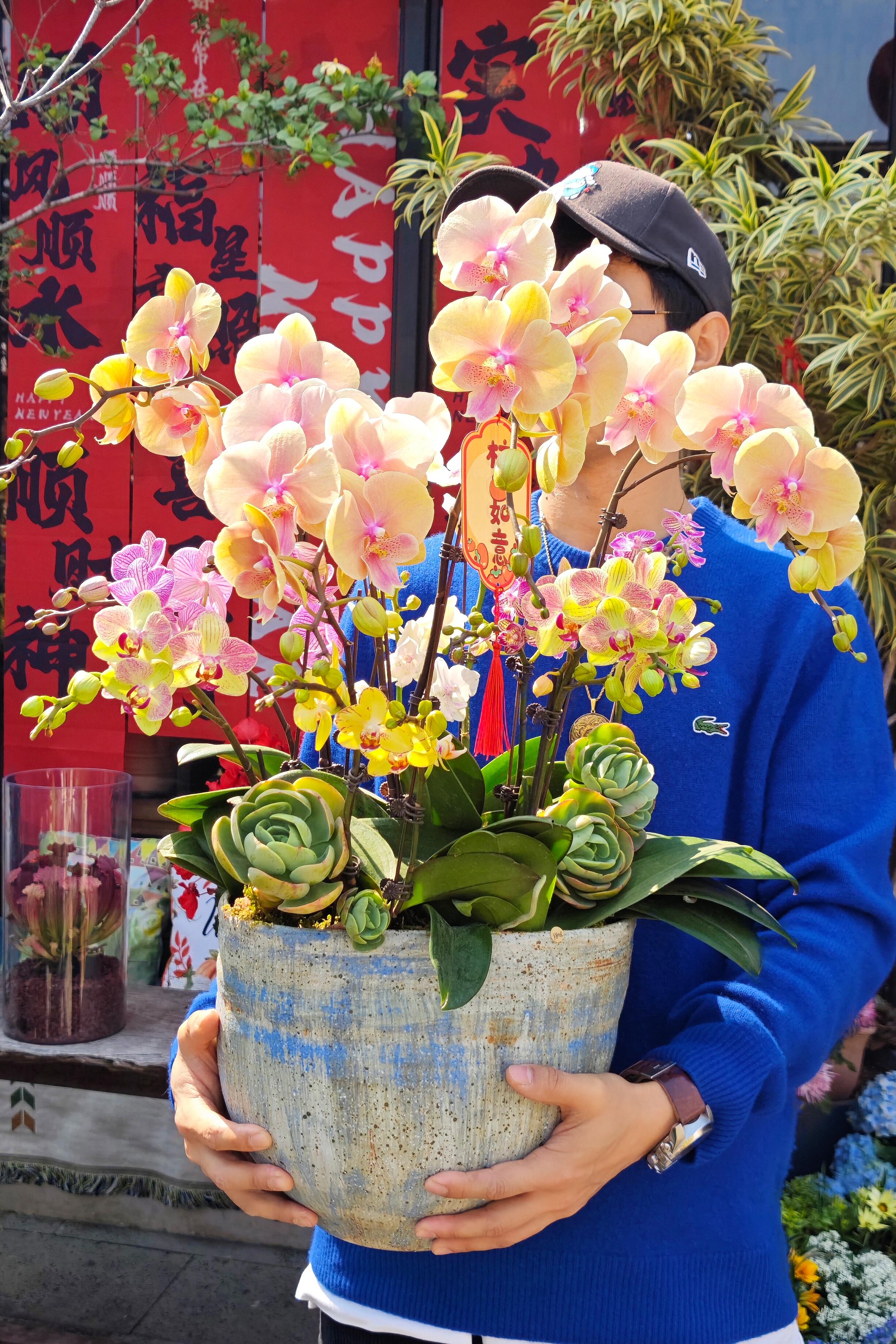 http://static.ixuenong.com/pxn/uploads/prod/thirdfile/2025/02/580c34c06f57608b930b3016aa7ecab6.jpg