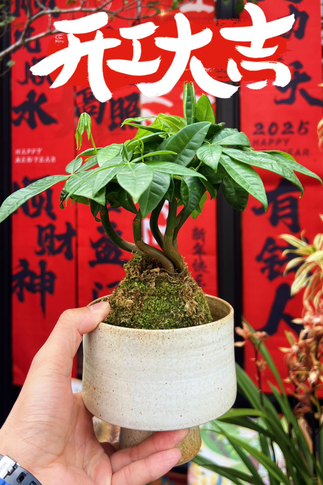 http://static.ixuenong.com/pxn/uploads/prod/thirdfile/2025/02/5826ea13d2f06c8d95f7aa9641c09723.jpg