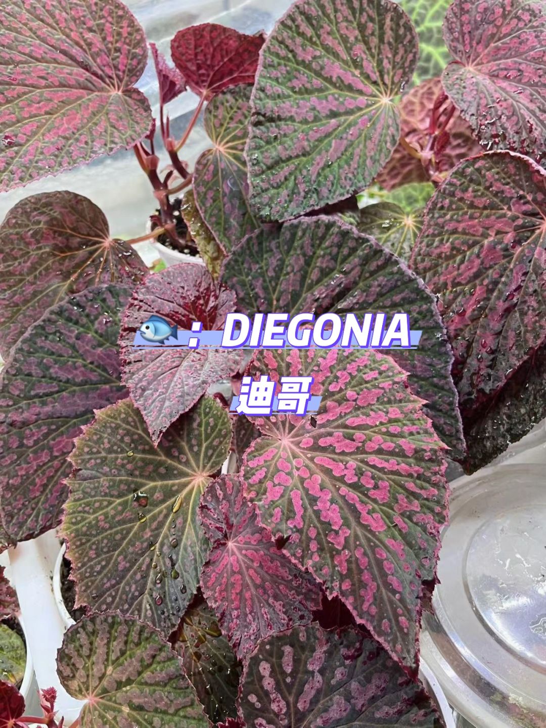 http://static.ixuenong.com/pxn/uploads/prod/thirdfile/2025/02/5c6ca502fe49b7f70c8aef41a1b0102e.jpg
