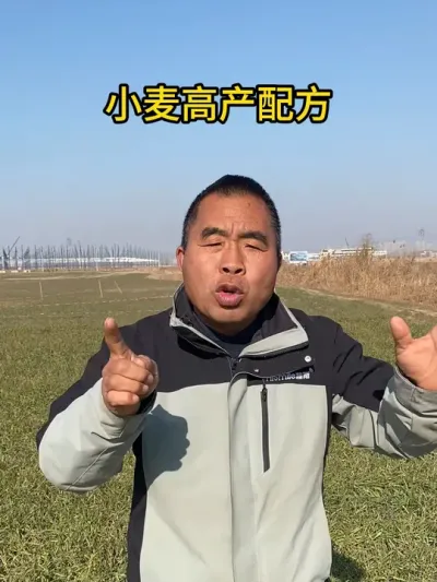 小麦高产配方~ #三农 #抖音助农 #农业种植 #助农扶农 #田间地头就是我的舞台