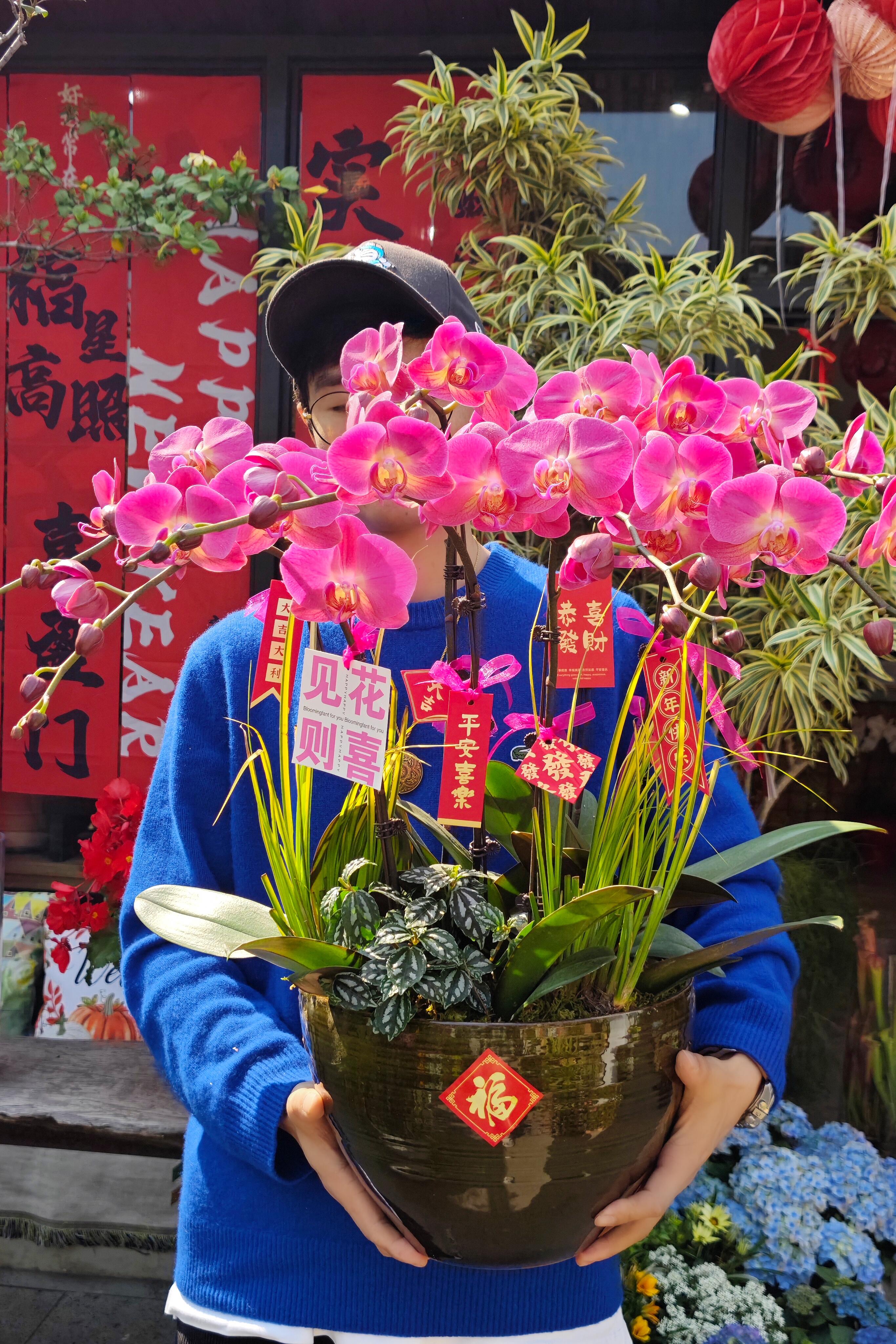 http://static.ixuenong.com/pxn/uploads/prod/thirdfile/2025/02/5f2c8503f2b2ffd2b0eb4a45357db9f0.jpg