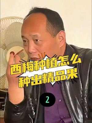 西梅种植怎样种出精品果②#西梅种植#农田行者#农田行者技术服务联盟