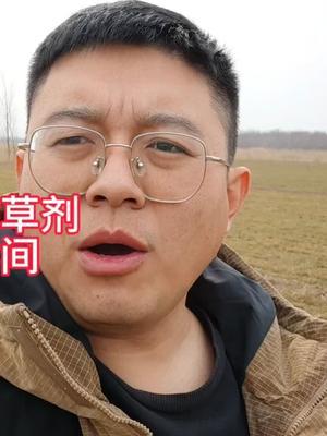 打野麦子除草剂什么时候最好？先打除草剂还是先浇水？ 