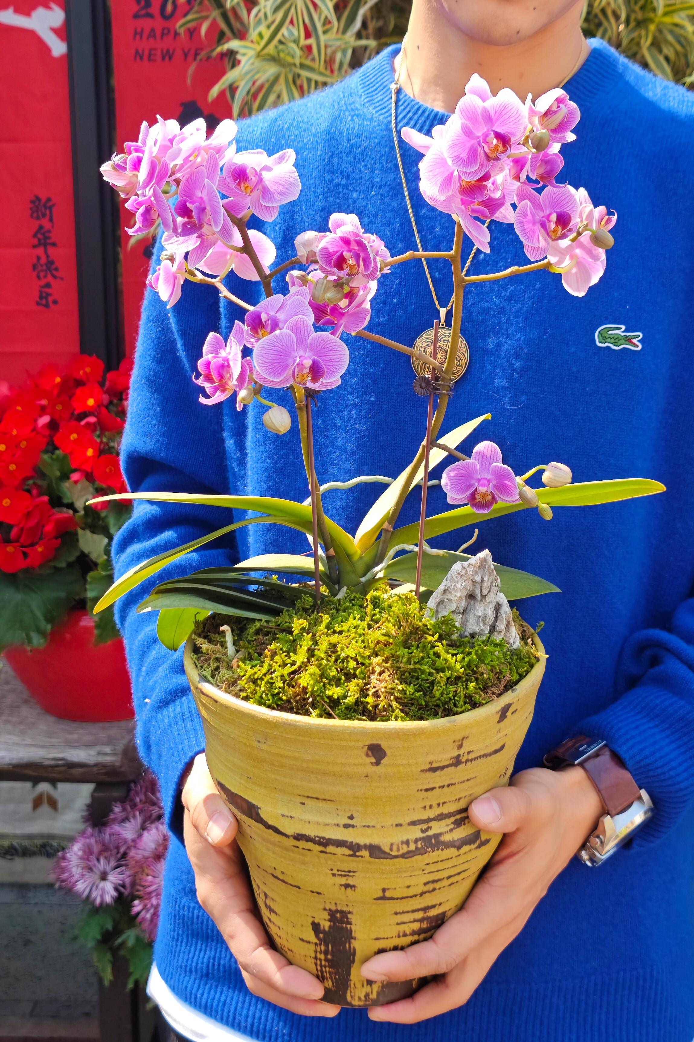 http://static.ixuenong.com/pxn/uploads/prod/thirdfile/2025/02/7304e035fc91f3e17fadfb7ea0cf9a33.jpg