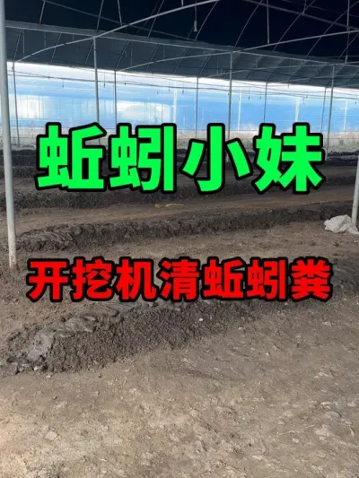 开动挖机清理蚯蚓粪 #蚯蚓养殖 #三农 #农村创业