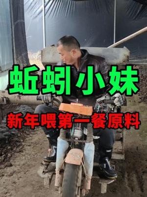 新年喂蚯蚓的第一餐原料 #蚯蚓养殖 #三农 #农村创业