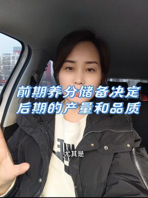 前期的养分储备决定后期的品质和产量#农业种植#传播农业小知识 #土壤改良 #优质农产品 #服务三农支持三农