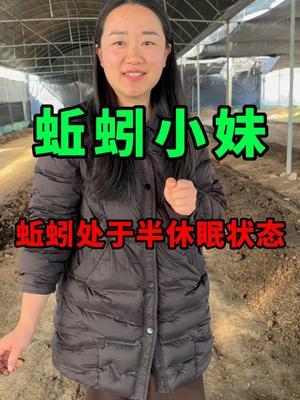 蚯蚓处于半休眠状态 #蚯蚓养殖 #三农 #农村创业