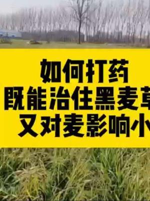 #传播农业小知识 #抖音助农 #分享农业知识帮农民增产增收 #农业人话农业 #增产增收才是硬道理