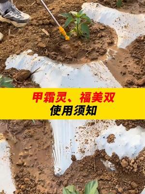 甲霜灵、福美双使用须知！ #种植小技巧 #农业种植 #农业 #农业技术