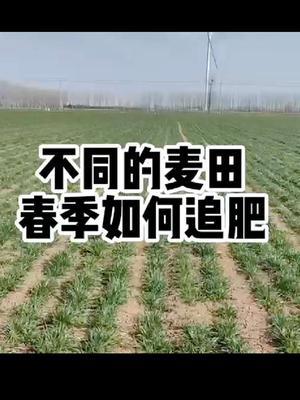 #分享农业知识帮农民增产增收 #抖音助农 #农业人话农业#传播农业小知识