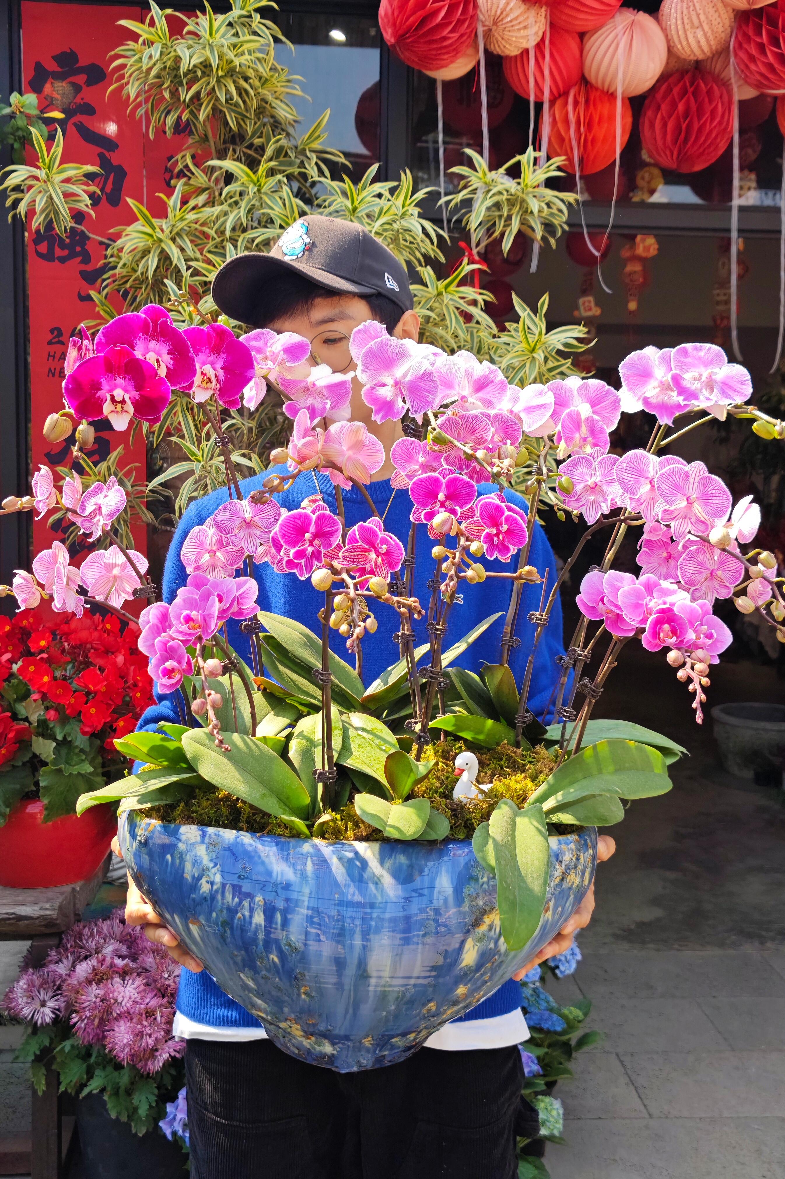http://static.ixuenong.com/pxn/uploads/prod/thirdfile/2025/02/8b961326a939e2d9d453a0ffb198063b.jpg