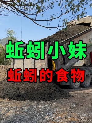 年后给蚯蚓准备的食物，三大车，一车就是1000多 #蚯蚓养殖 #三农 #农村创业