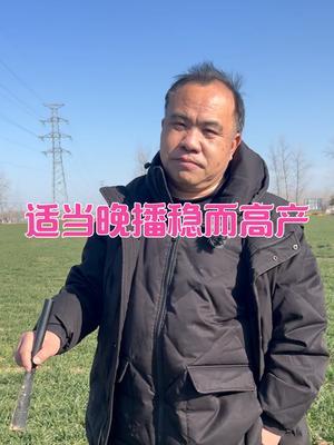 适当晚播稳而高产 节肥高产法（底肥80斤，追肥二次20斤加十斤），全程随农事系统喷施袁氏德善高钾水溶肥。节本而高产！#农业种植技术