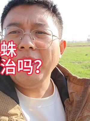 大雪节气已到，但是地里有红蜘蛛危害，还需要打药防治吗？ 