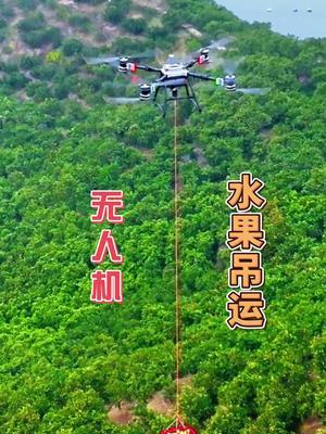 农业无人机在山区太好用了， 运水果、运肥料、打农药#三农 #大疆农业 #大疆T100#新农人计划2024