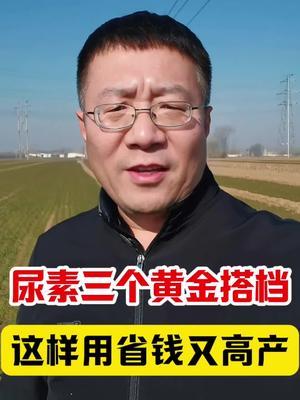 尿素这样用肥效高，既省钱又增产！ #分享农业知识帮农民增产增收 #农业种植 #传播农业小知识 #三农种植 #农技知识分享