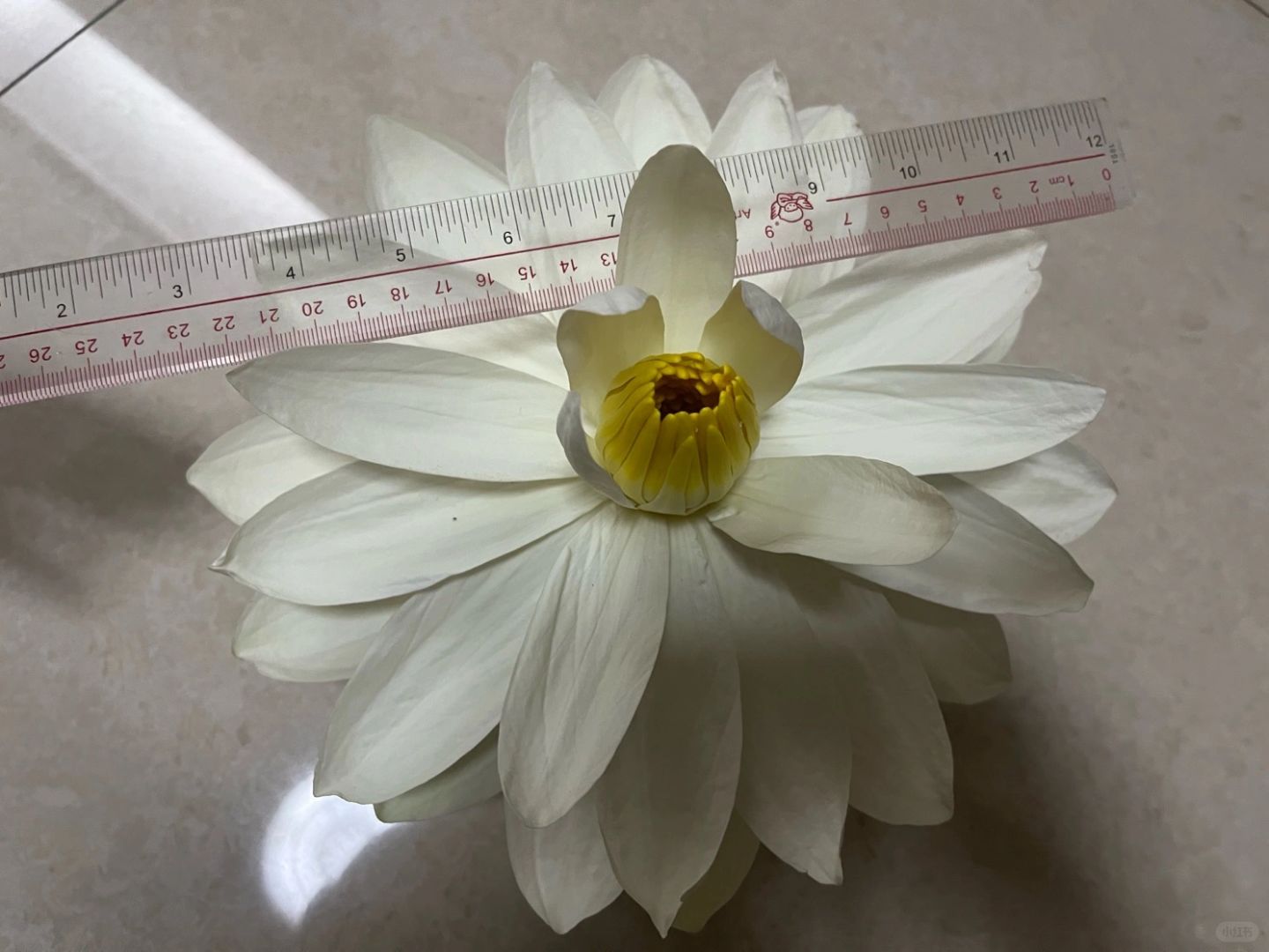 http://static.ixuenong.com/pxn/uploads/prod/thirdfile/2025/02/a1f1007110cea0455ac45fd76e25c86c.jpg