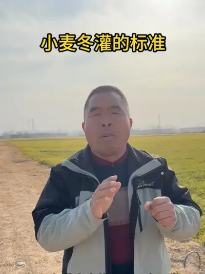 小麦冬灌的标准是什么？ #三农 #抖音助农 #田间地头就是我的舞台 #农业种植 #助农扶农