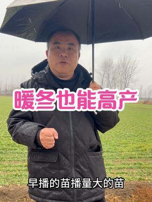 暖冬也能高产 从春化程度、积温优势、长日照优势、日照时数优势分析，暖冬一样可以高产！#三农种植 #农业种植技术