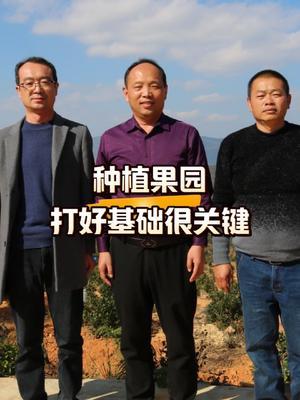 种植果园打好这些基础很关键！#果园管理#西梅种植#农田行者#农田行者技术服务联盟