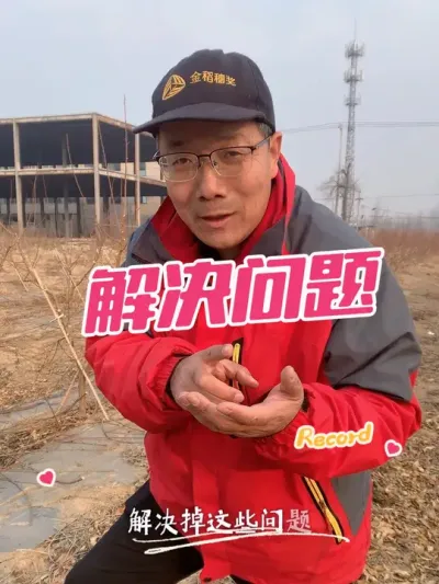为什么很多人来找 就是果园管理出了问题#果园管理 #修剪 #三农