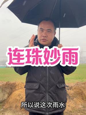 连珠妙雨 利麦生长利麦抗寒，利土滋润，虽然不大，也是妙雨！#小麦种植管理技术