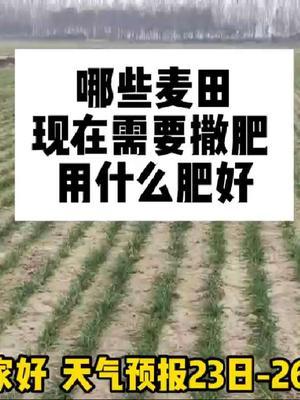 #农业人话农业#分享农业知识帮农民增产增收 #抖音助农