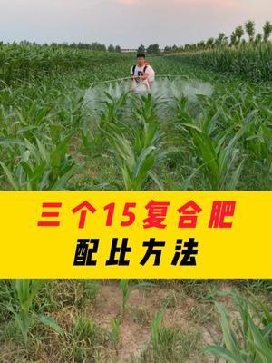 三个15的复合肥配比方法！ #三农种植 #农资肥料 #农业 #农业技术