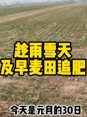 #农业人话农业 #分享农业知识帮农民增产增收 #传播农业小知识 #抖音助农
