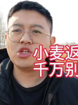 2025年小麦浇返青水的最佳时间？今年有两点，跟往年不同 