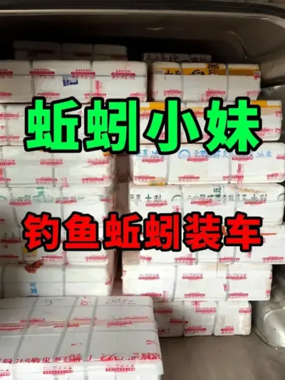 新年第一批钓鱼蚯蚓已经装车 #蚯蚓养殖 #三农 #农村创业 #钓鱼饵料