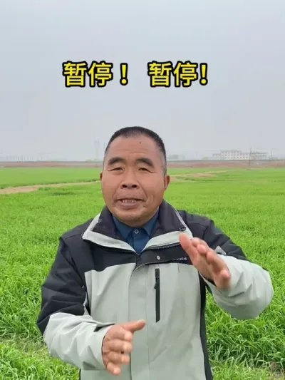 注意啦！暂停！暂停！ #小麦管理 #小麦种植 #小麦管理技术 #小麦管理技术分享 #三农