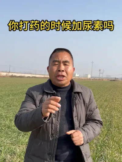 你打药的时候加尿素吗？ #三农 #服务三农支持三农 #小麦追肥 #小麦种植
