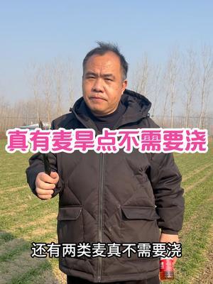 真有麦旱点不需要浇 夜潮土和三个叶及以内麦不需要浇，除这两类外，都需要补水！#农业种植技术