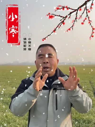 小寒来临~ #二十四节气 #小寒节气 #三农 #小寒到了