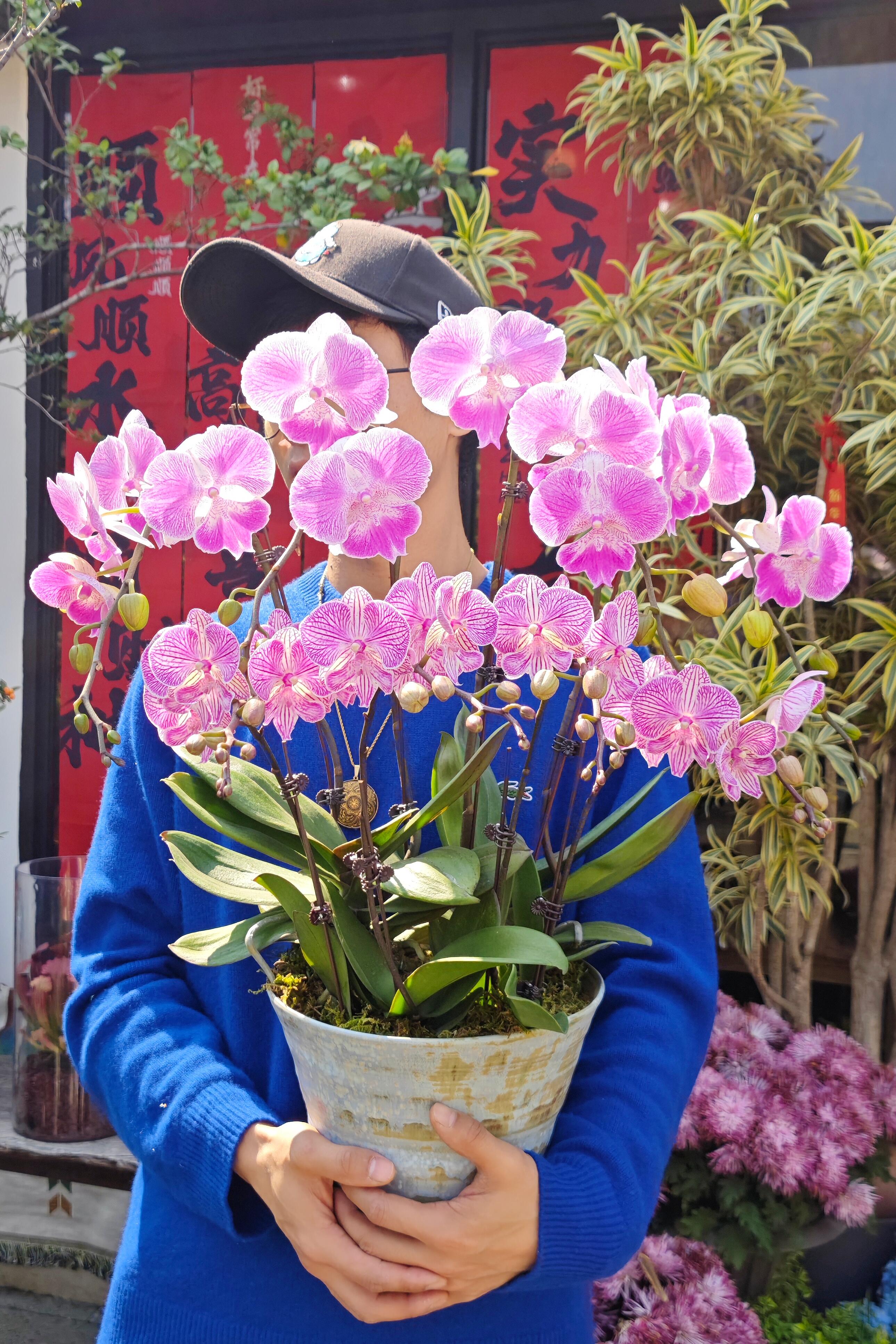 http://static.ixuenong.com/pxn/uploads/prod/thirdfile/2025/02/dab739881e7700ac57489bd4f79d65b7.jpg