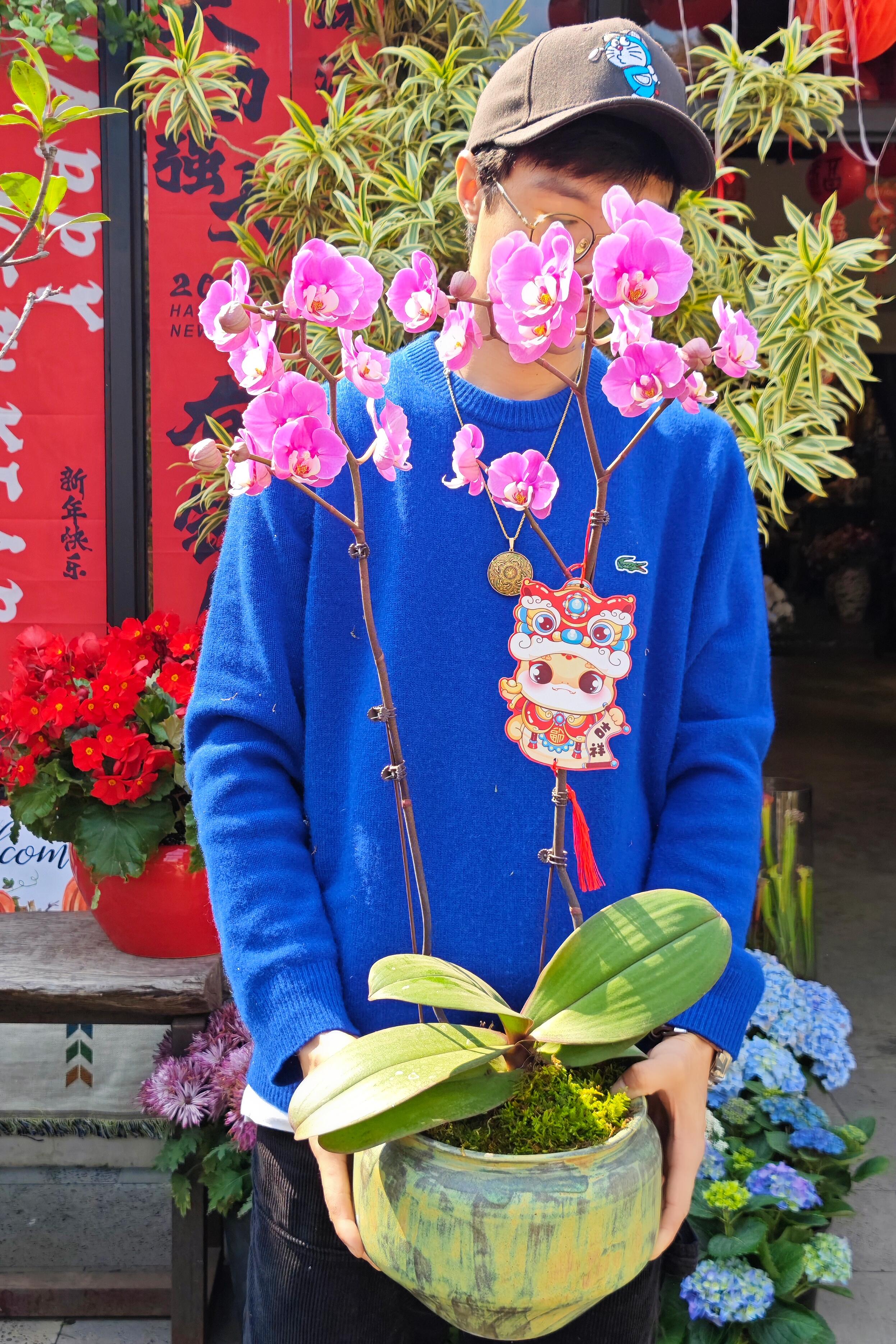 http://static.ixuenong.com/pxn/uploads/prod/thirdfile/2025/02/daf2120613fa805c969fc1627ae11999.jpg