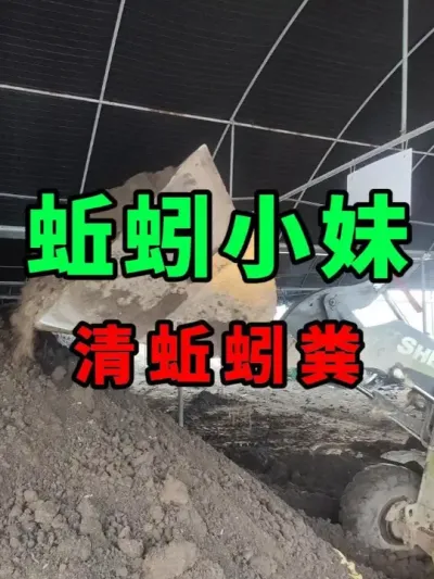 开始清蚯蚓粪，为客户施冬肥做准备 #蚯蚓养殖 #三农 #农村创业