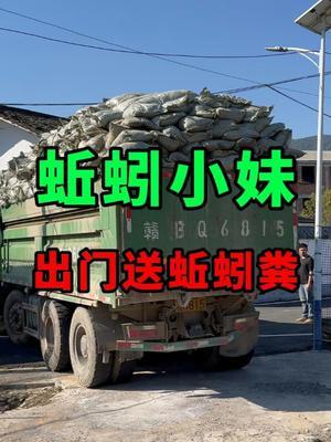 送种阳光玫瑰的蚯蚓粪，期待明年夏天甜蜜的果实 #蚯蚓养殖 #三农 #农村创业