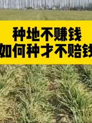 #农业人话农业 #抖音助农 #分享农业知识帮农民增产增收 #农业植保知识分享 #头条作品双星激励计划