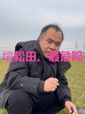 塇松田，最危险 不怕持续低温，
就怕寒风入根。#三农种植